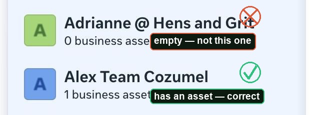 Portfolio list showing 0 business assets vs 1 business asset