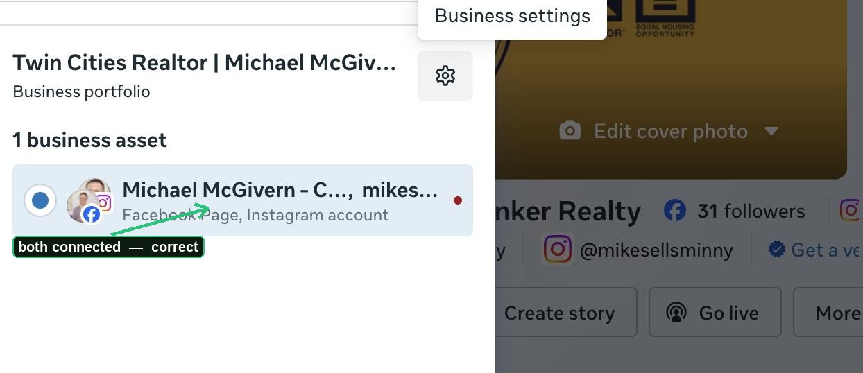 Portfolio detail showing Facebook Page and Instagram account both connected